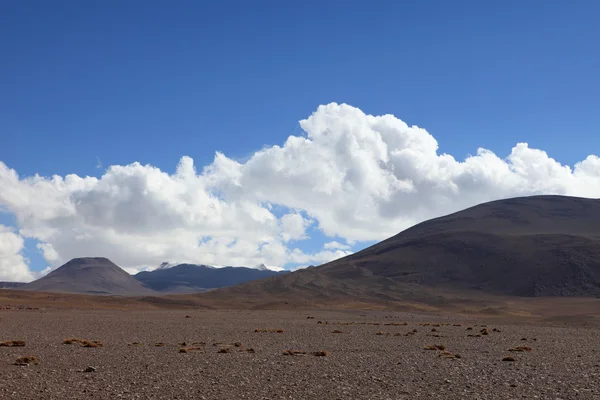 Salvador dali Bolivya'da çöl — Stok fotoğraf