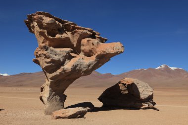 kaya oluşumları altiplano Bolivya