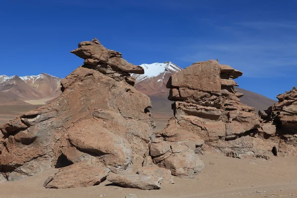 Felsformationen altiplano bolivien — Stockfoto