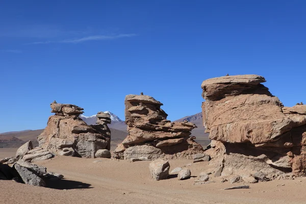 Felsformationen altiplano bolivien — Stockfoto