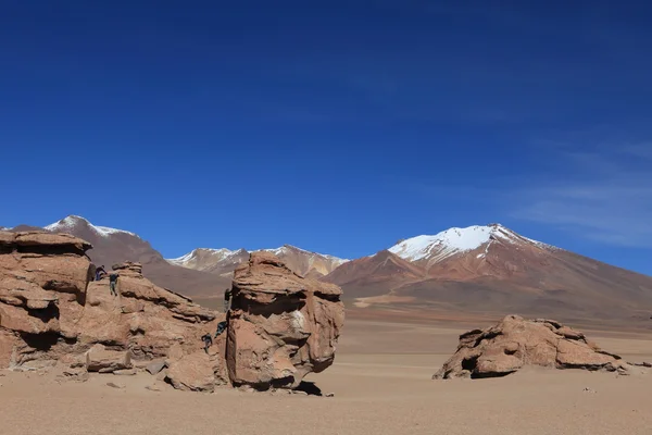 Felsformationen altiplano bolivien — Stockfoto