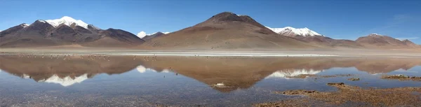 Laguna Celeste Altiplano Bolívia — Fotografia de Stock