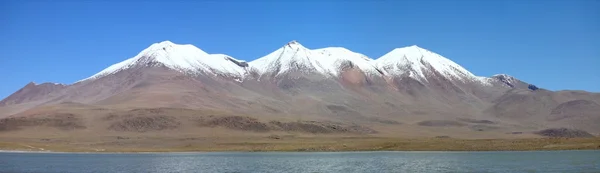 Laguna celeste altiplano Boliwii — Zdjęcie stockowe