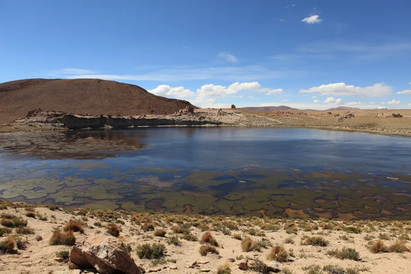 Laguna Negra — Fotografia de Stock