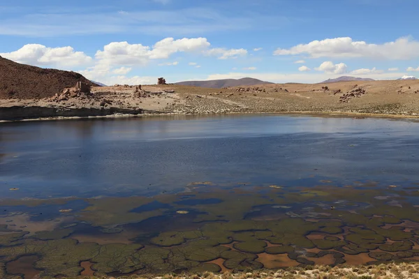 Laguna Negro — Stok Foto