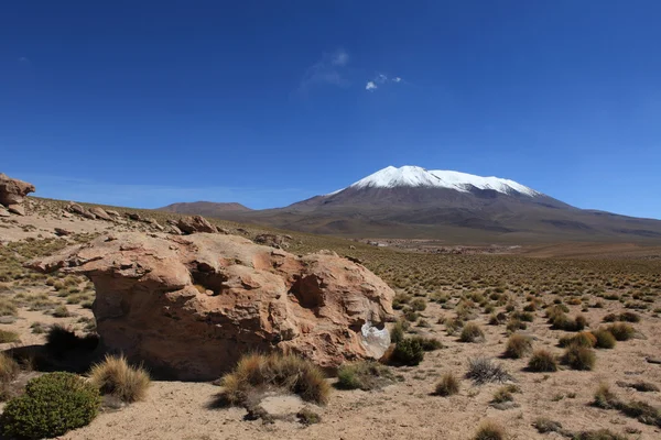 Kamień formacji altiplano Boliwii — Zdjęcie stockowe