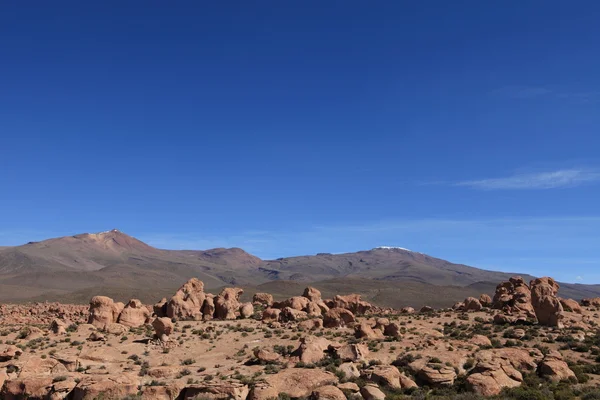Altiplano Bolivia — Foto de Stock