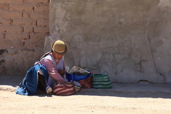 ボリビアの貧しい女性 — ストック写真