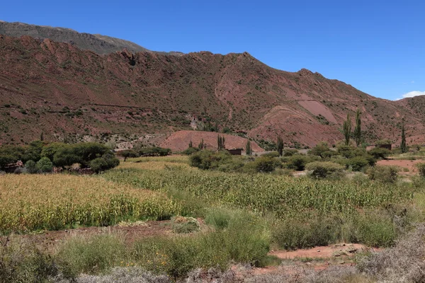 Bolivia altiplano — Foto de Stock