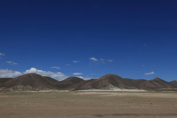 玻利维亚高原 — 图库照片