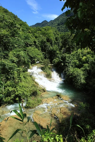 Vietnam Wasserfall im Dschungel — Stockfoto