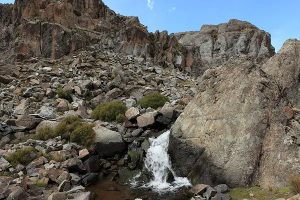 Andes dağ dere — Stok fotoğraf