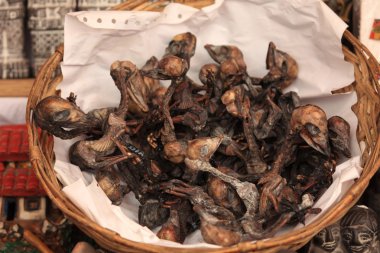 la paz cadı pazarı