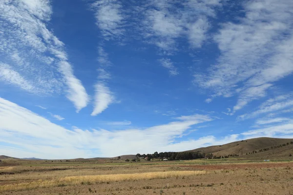 De altiplano in de andes — Stockfoto