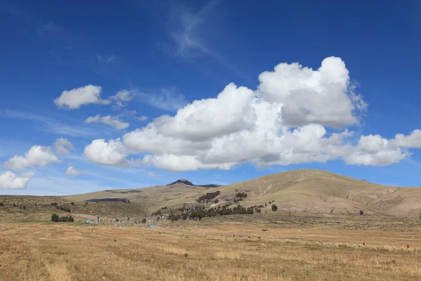 El altiplano en perú —  Fotos de Stock