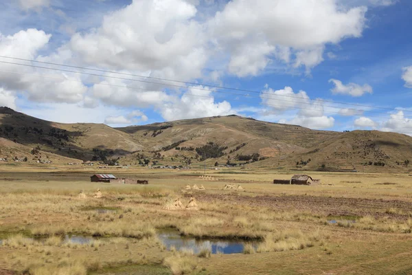 The Altiplano in Peru — Stock Photo, Image