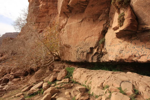 De woestijn wadi rum in Jordanië — Stockfoto