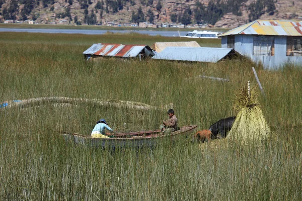 Fisherman at Lake Titicaca — Stock Photo, Image