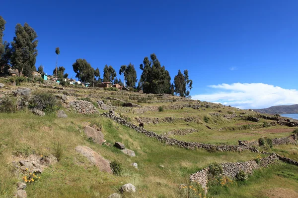 No lago titicaca — Fotografia de Stock