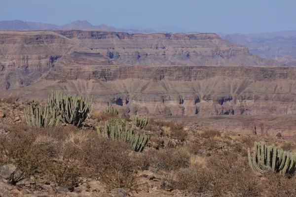 Fish River Canyon Namibia — Stock Photo, Image