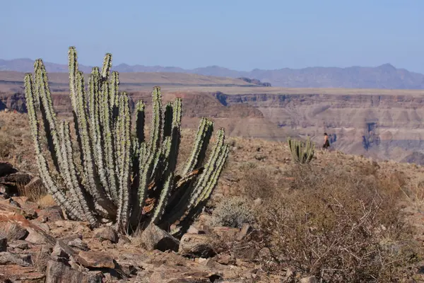 Fisch-Fluss-Schlucht namibia — Stockfoto