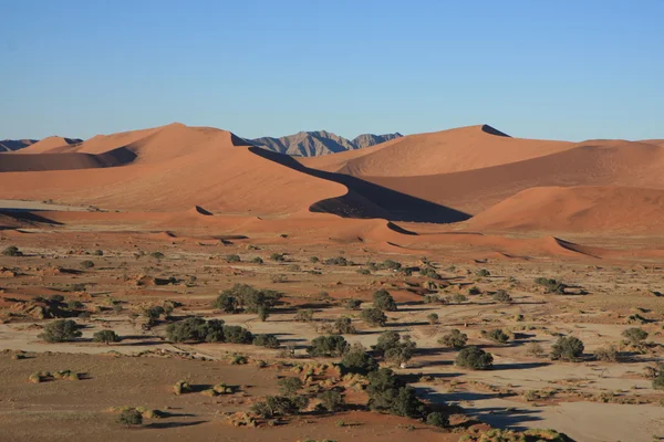 O deserto da Namíbia na Namíbia — Fotografia de Stock