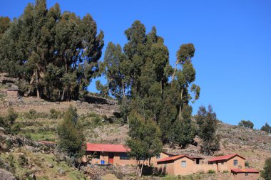 köy ve ada taquile lake titicaca tarım terası