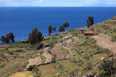 köy ve ada taquile lake titicaca tarım terası