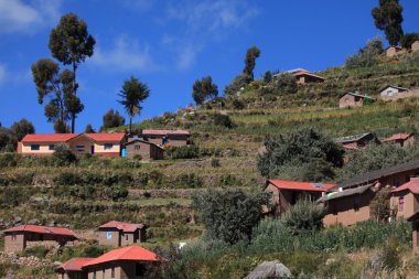 köy ve ada taquile lake titicaca tarım terası