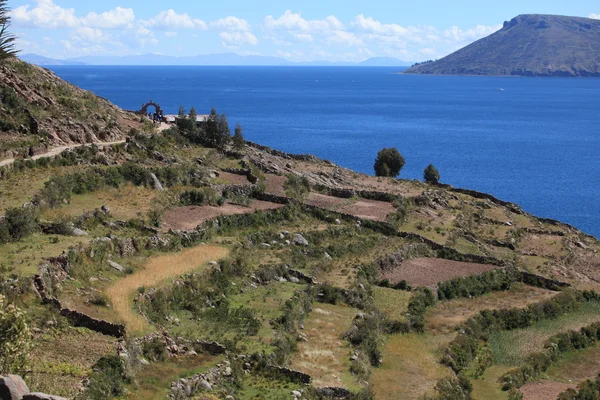 Village and Terrace Farming at Island Taquile Lake Titicaca — Stock Photo, Image