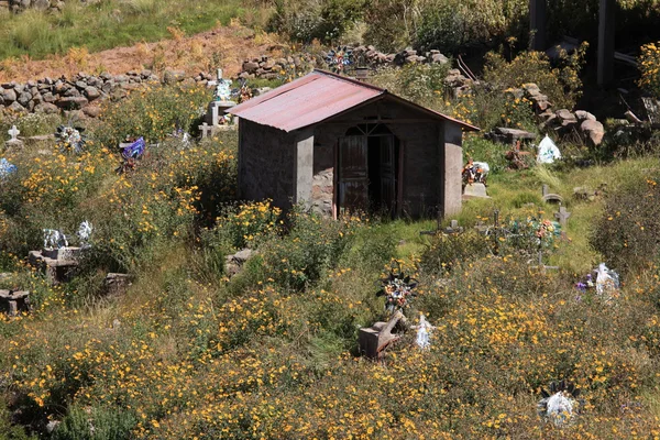 Village and Terrace Farming at Island Taquile Lake Titicaca — Stock Photo, Image