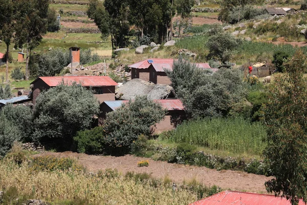 Agricultura de Pueblo y Terraza en Isla Taquile Lago Titicaca — Foto de Stock