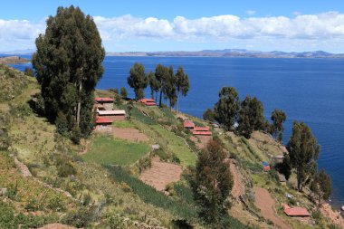 köy ve ada taquile lake titicaca tarım terası