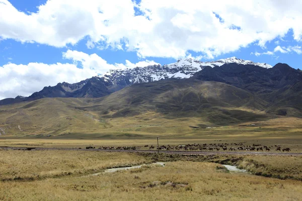 Krajobrazu Andyjskiego w peru — Zdjęcie stockowe