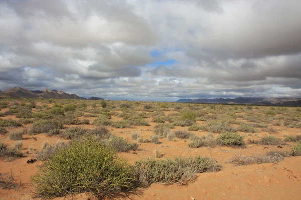 Namib Namibiassa — kuvapankkivalokuva
