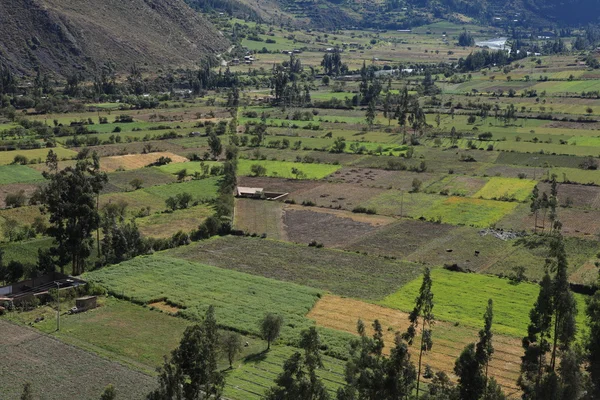 Agricultura en perú — Foto de Stock