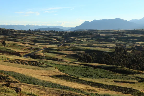 Jordbruk i peru — Stockfoto