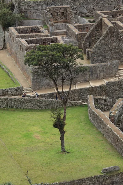 Machu picchu de verborgen stad van de inca in de wolken — Stockfoto