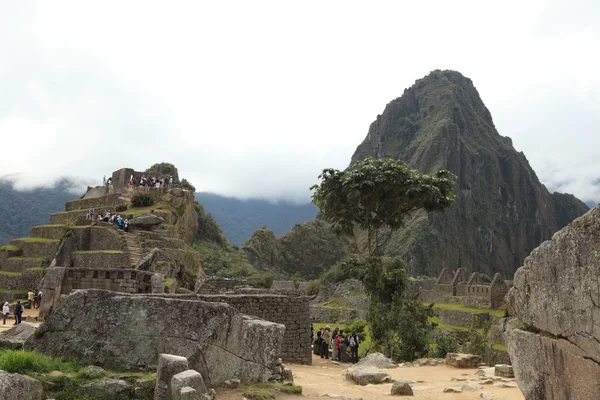 Machu Picchu miasto Inków w chmurach — Zdjęcie stockowe