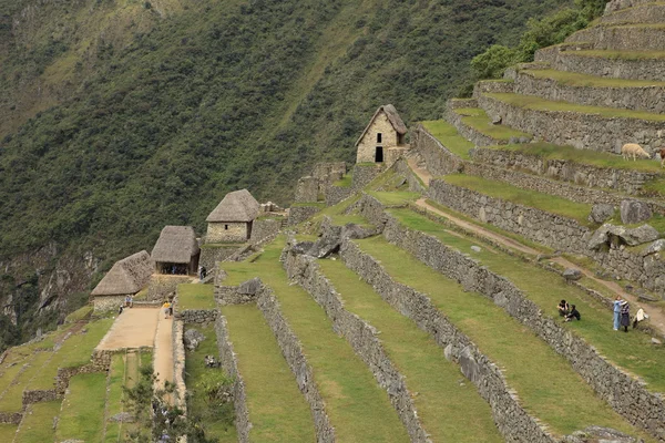 Machu Picchu la ciudad Inca en las nubes — Foto de Stock