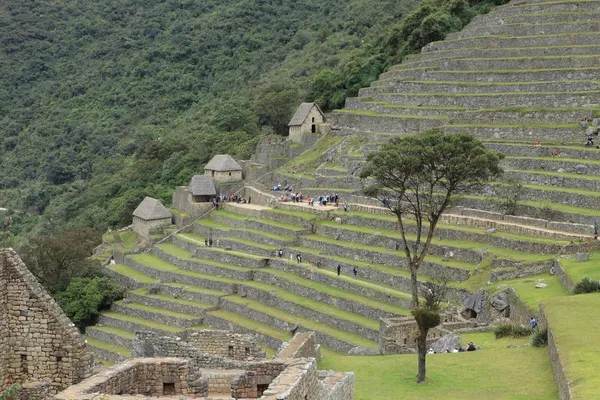 Machu Picchu the hidden inca city in the andes — Stock Photo, Image