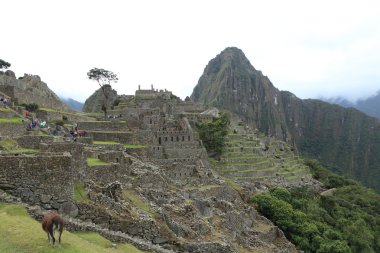 Machu picchu Andes gizli Inca şehir