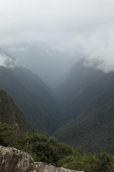 La selva en los andes —  Fotos de Stock