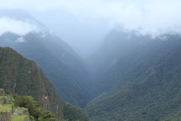 Dżungla w Andach — Zdjęcie stockowe