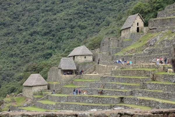 Machu picchu a cidade inca escondida nos andes — Fotografia de Stock