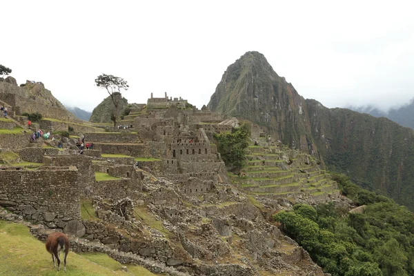Machu picchu skryté město Inků v Andách — Stock fotografie
