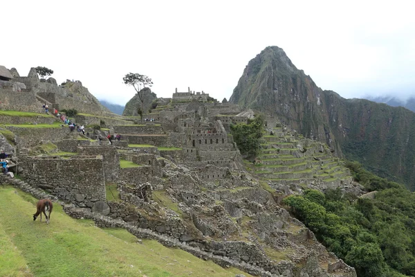 Machu picchu la città inca nascosta tra le nuvole — Foto Stock