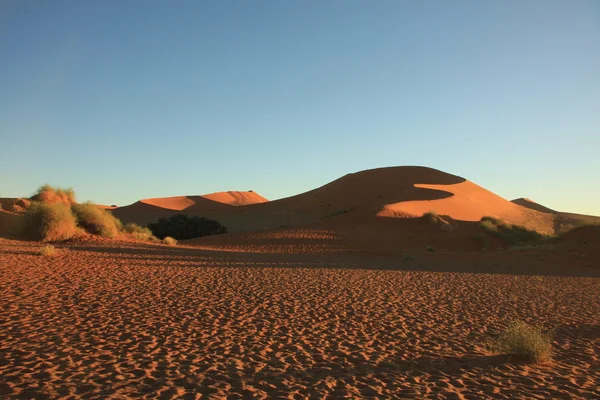A sivatag Namíb — Stock Fotó