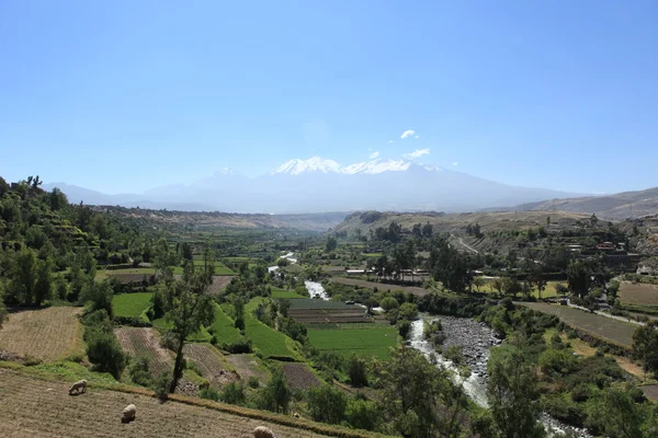 Vulkanen runt arequipa peru — Stockfoto