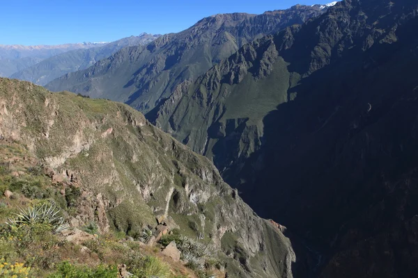 Colca canyon v peru — Stock fotografie